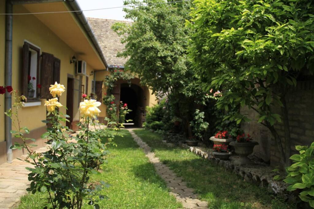 Apartman Brankova Kuca Sremski Karlovci Exteriér fotografie