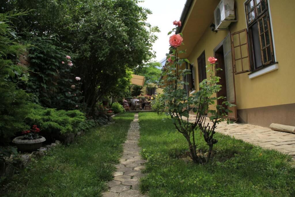 Apartman Brankova Kuca Sremski Karlovci Exteriér fotografie